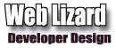 Web Lizard - Developer Design